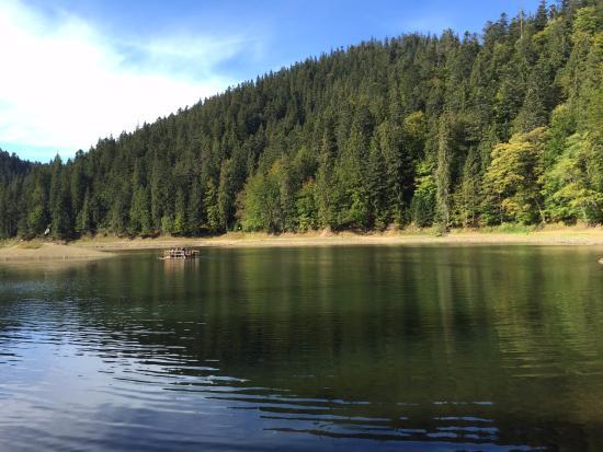 Synevir Lake